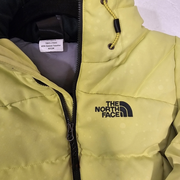 The North Face🔥🔥2X HOST PICK🔥🔥 Summit Series 900 Goose Down Jacket - Picture 5 of 12